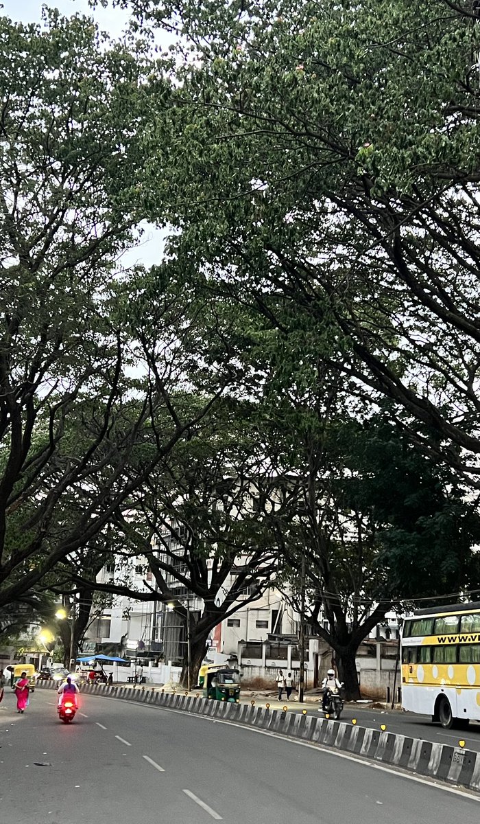 srinualavilli's tweet photo. Perhaps one of the reasons I  tolerate long waits for bus are the breathtaking views  #tellingmyself https://t.co/ppwMXOOieY
