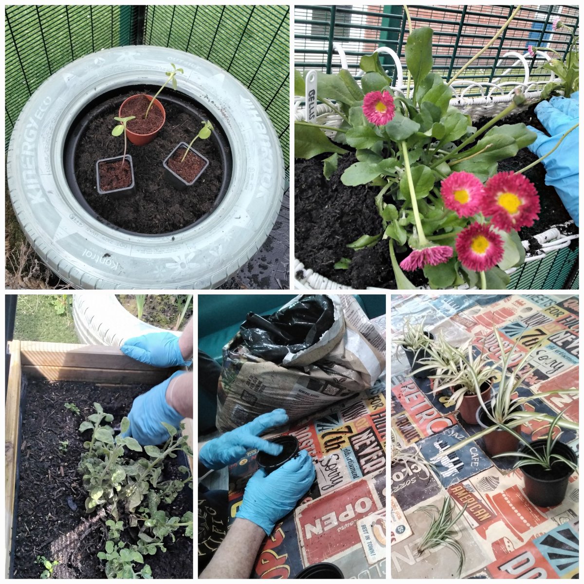 Orion OT & Activity Team tweet media