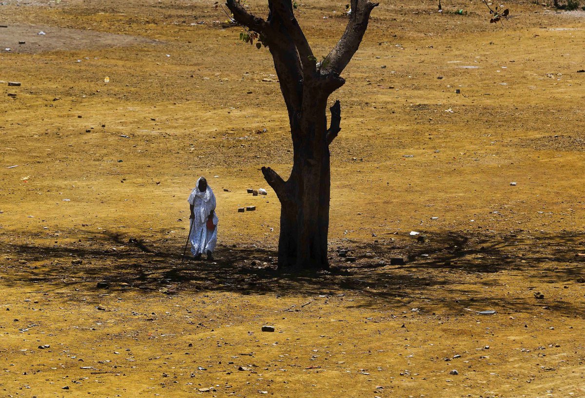 TOIMumbai's tweet photo. An old women takes shelter under a tree on a hot day in #Mumbai. https://t.co/YFt4Wbl3E0