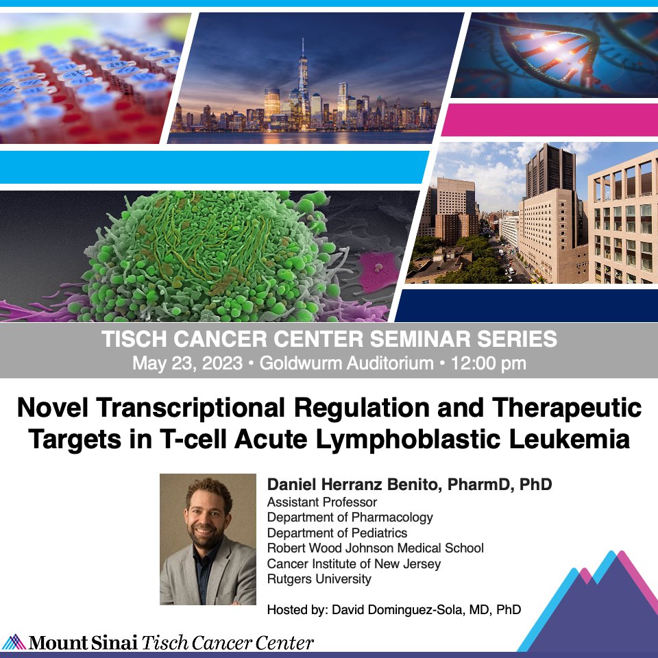 Mount Sinai Tisch Cancer Center tweet media