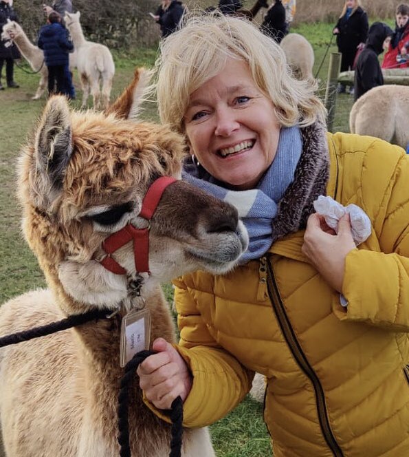 Alison Fox tweet media