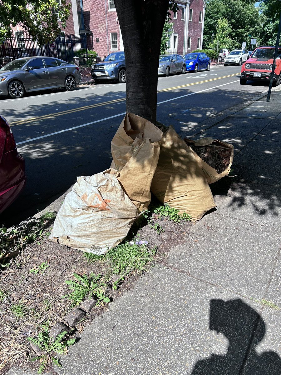 idikland's tweet photo. @311DCgov following up on status of pick up? Located 317 C St. NE. Thank you! https://t.co/na66bpUos0