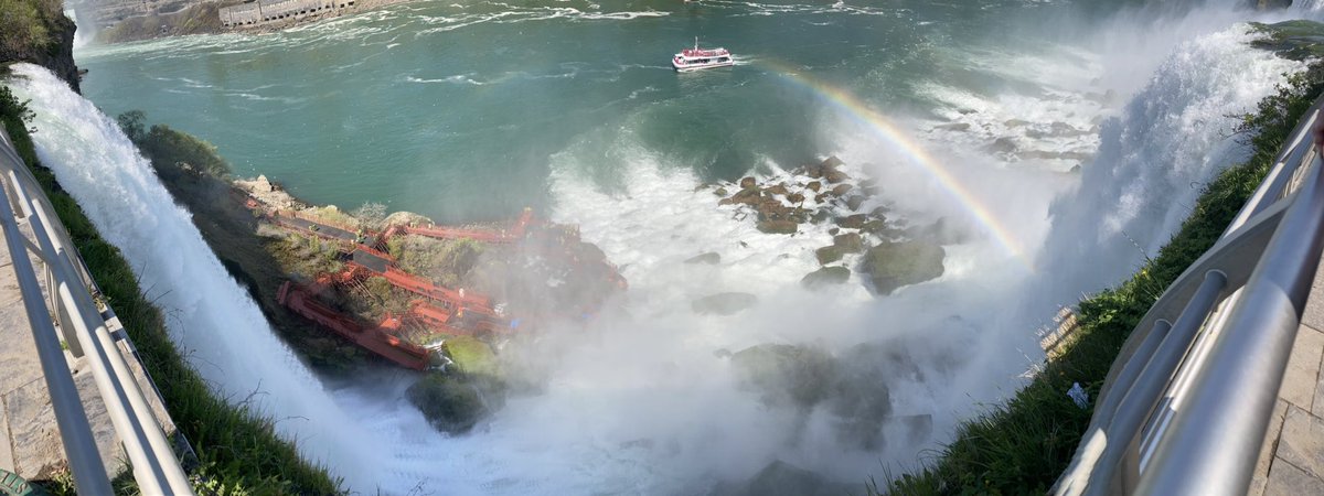 Dr. Manuela Raffatellu is @manuelar.bsky.social tweet media