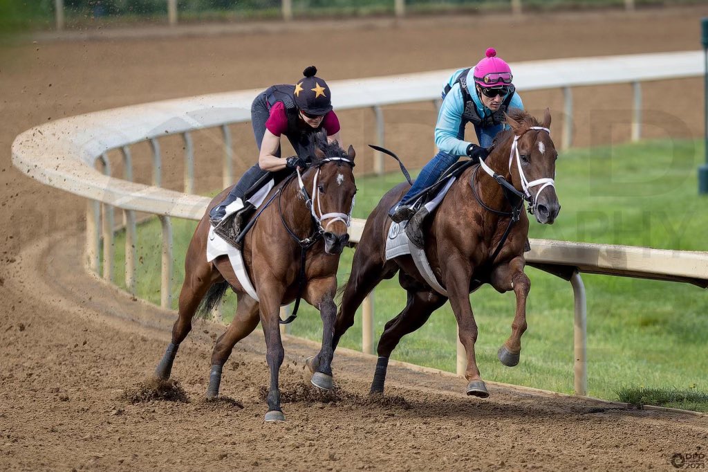 Ferrin Peterson tweet media