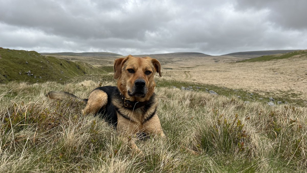 Gareth Enticott 🏴󠁧󠁢󠁷󠁬󠁳󠁿 tweet media