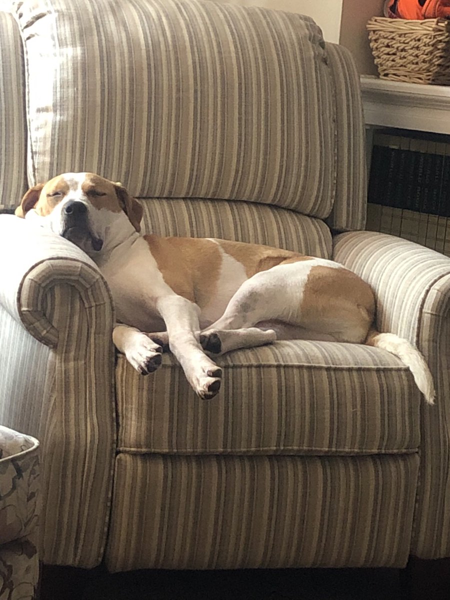 When Friday finally arrives….