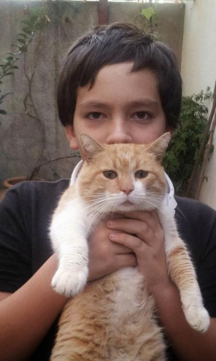 maciu22's tweet image. Hoy es uno de los dias mas tristes de mi vida, si no el que más. Se ha ido mi gato, al que he amado por 14 largos años. Estoy completamente destrozado y jamas me recuperare de este dolor. Nada va a llenar este vacío, te he amado, te amo y te amare por siempre.
Hasta pronto prenda