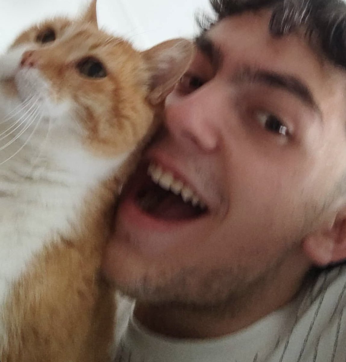 maciu22's tweet image. Hoy es uno de los dias mas tristes de mi vida, si no el que más. Se ha ido mi gato, al que he amado por 14 largos años. Estoy completamente destrozado y jamas me recuperare de este dolor. Nada va a llenar este vacío, te he amado, te amo y te amare por siempre.
Hasta pronto prenda