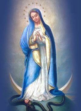 #MarysMonth #ToJesusThroughMary #BlessedMother #FullOfGrace #AveMaria #BeholdYourMother #Catholic #PrayTheRosary ✝️🙏🏻🇻🇦