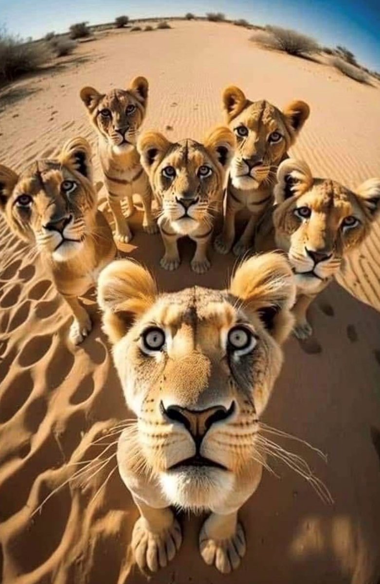 DO you engage with CUSTOMERS and EMPLOYEES? What's the value to a business?...We at SSO say YES and INVALUABLE! A business's employees have a symbiotic relationship with their customers.... even if they don't know it, they give each other value. Keep it fresh!