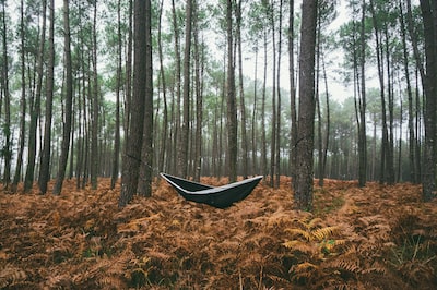 📌Portugal 📷@jomatotu  #nature #hourlyNature #nomaddream #wonderlust #travel