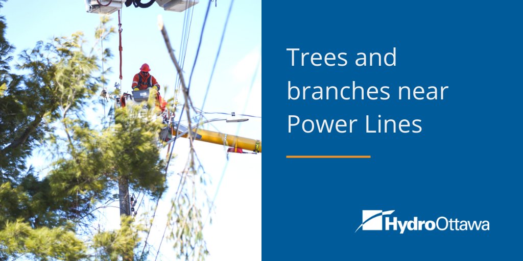 hydroottawa's tweet image. #PowerlineSafetyWeek As a property owner, it's crucial to monitor tree growth near power lines to prevent hazards/reliability issues. Contact us to report trees near lines or request a temporary outage for tree removal on your property

We're here to help bddy.me/3WqheZm