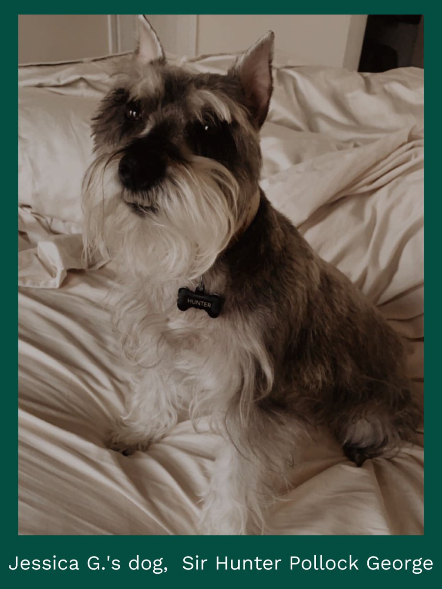 CengageLearning's tweet image. Last week, members of our Milady team celebrated #NationalPetWeek by sharing photos of their furry co-workers via Slack. Check them out below! #petsatwork #companyculture