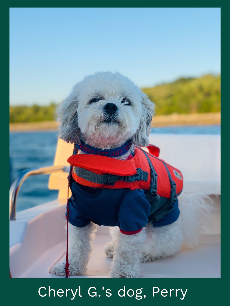 CengageLearning's tweet image. Last week, members of our Milady team celebrated #NationalPetWeek by sharing photos of their furry co-workers via Slack. Check them out below! #petsatwork #companyculture