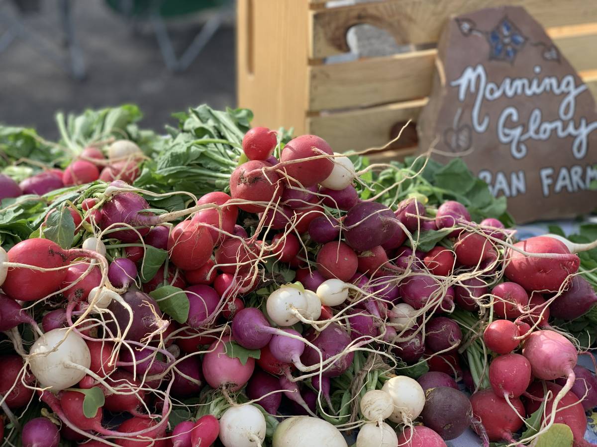 Lots of #radishes available. Diversity of colors, shapes, flavors is crazy! You won't find these in supermarket, and they really dress up a charcuterie board. Morning Glory Urban Farm has great produce from a small plot. Available at Los Ranchos Farmers Market. @FarmersMarketNM