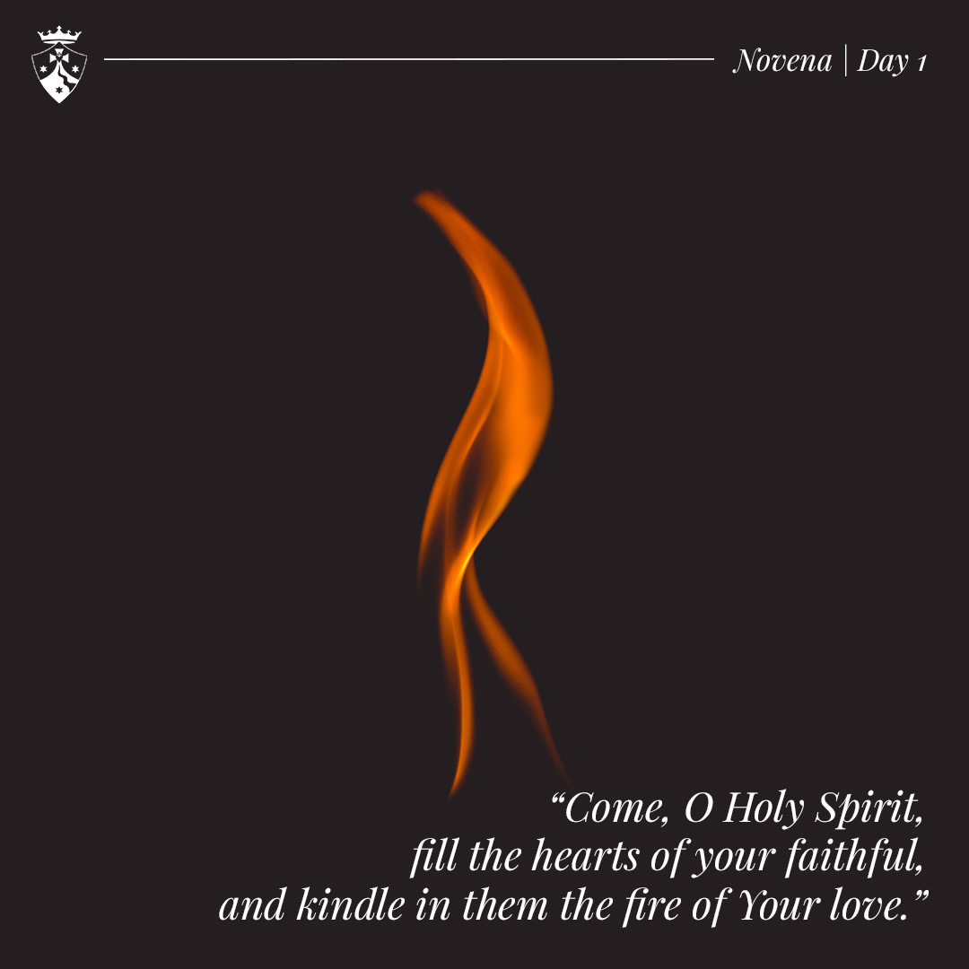 Novena | Day 1 Come, O Holy Spirit, fill the hearts of your faithful ...