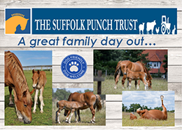 mailchi.mp/aboutfram/step…