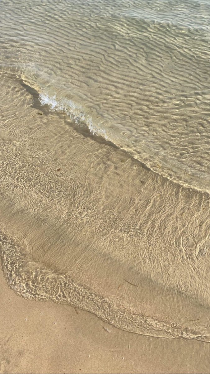 _3liBN's tweet photo. Saadiyat 🏝️🐚 ! https://t.co/nRq7If1m6z
