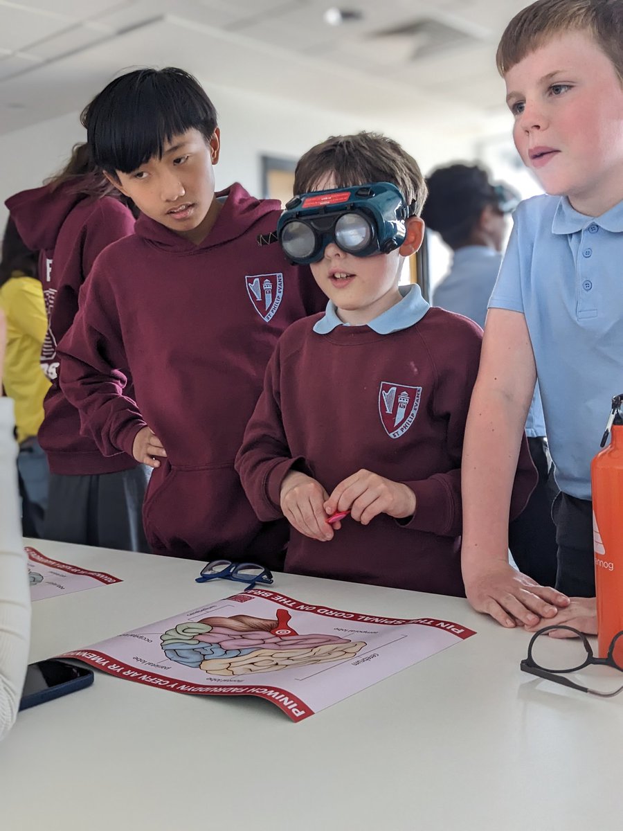CdfCuric's tweet photo. Pupils from @Stphilipevanspr engaging in an afternoon of Brain Games @CUBRICcardiff #CardiffP2TC https://t.co/or7Lhgzjdq