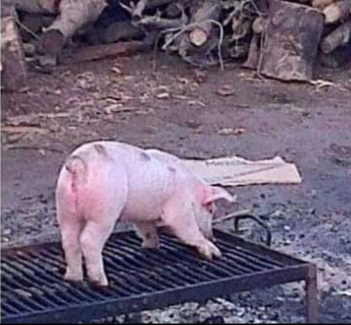 pará ansioso que todavía falta para navidad jajajajaja
