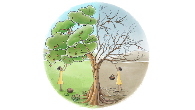 SatyaPr68386260's tweet photo. More than 100 interviews -> 4 scenarios on the future of #ClimateChange and #ClimateEquity -> 5 steps you can take #ClimateEquityReport https://t.co/kBsjPGQfI0 https://t.co/71JH46EHxj