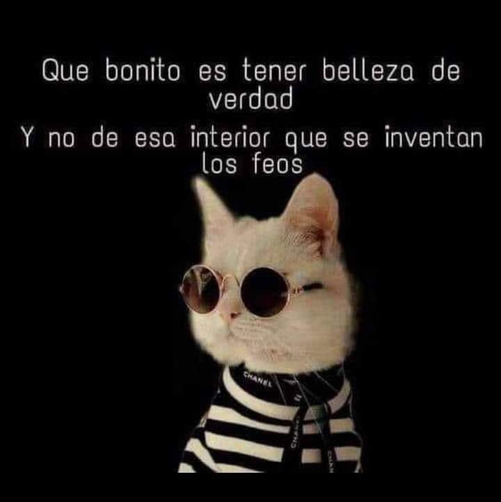 Edel_PV_Olan's tweet photo. ¡Cómo no!....#ComencemosconHumor https://t.co/8gkEAf7IwV
