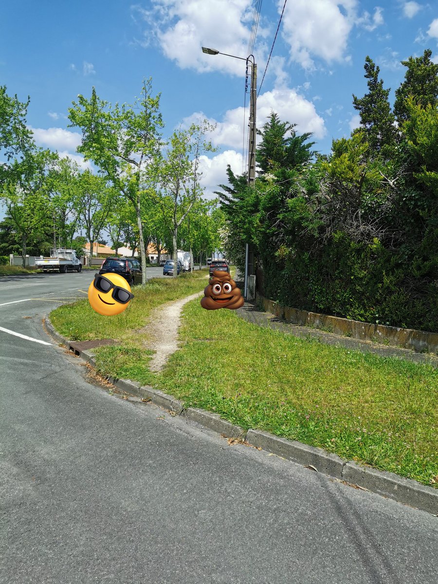 Voilà voilà

En effet les #GCUM squattent les trottoirs car il n'y a pas de place sur la chaussée pour stationner (et pas matérialisé)

#Niorr