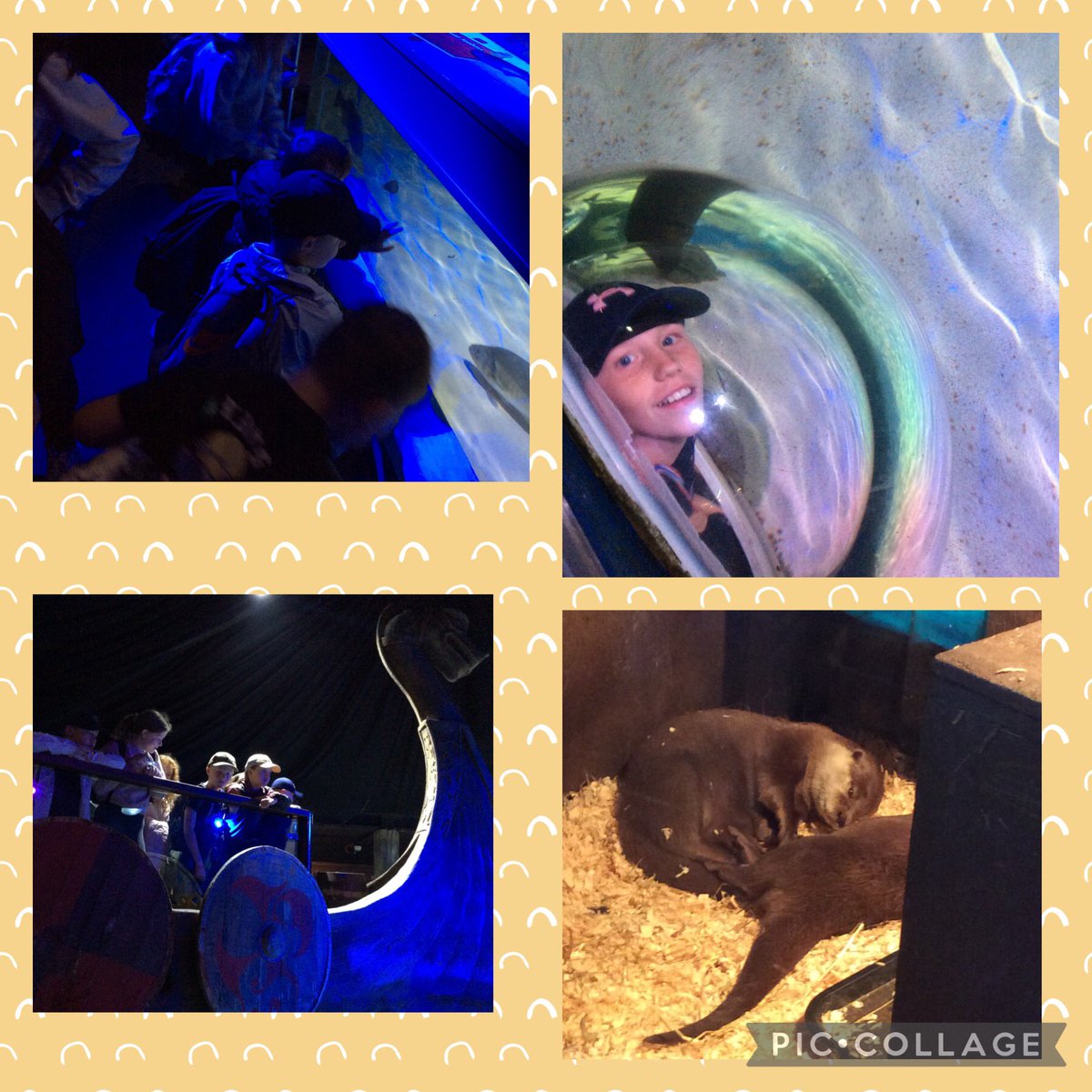 BandBschool's tweet photo. @BandBschool We have had a lovely morning exploring rock pools, building sand castles and visiting the Sealife centre. @eboractrust #opportunities #bandbscience #bandbSTEM https://t.co/gN6Rf24FPk