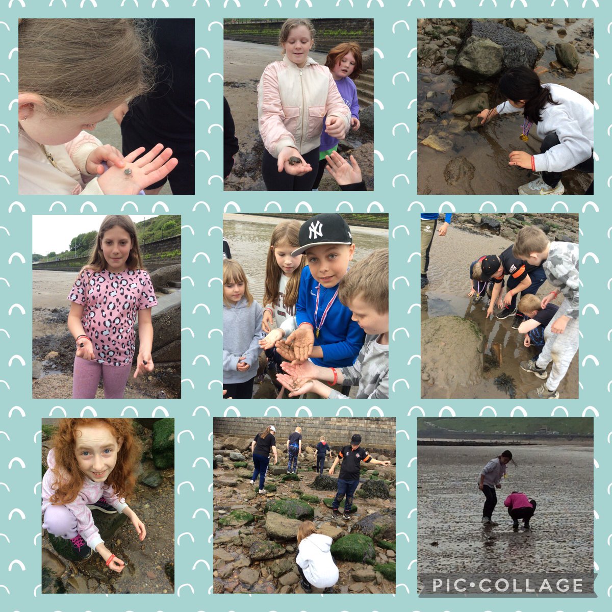 BandBschool's tweet photo. @BandBschool We have had a lovely morning exploring rock pools, building sand castles and visiting the Sealife centre. @eboractrust #opportunities #bandbscience #bandbSTEM https://t.co/gN6Rf24FPk