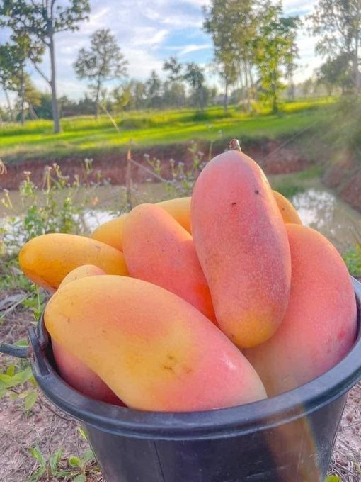 Lifevcore's tweet image. 