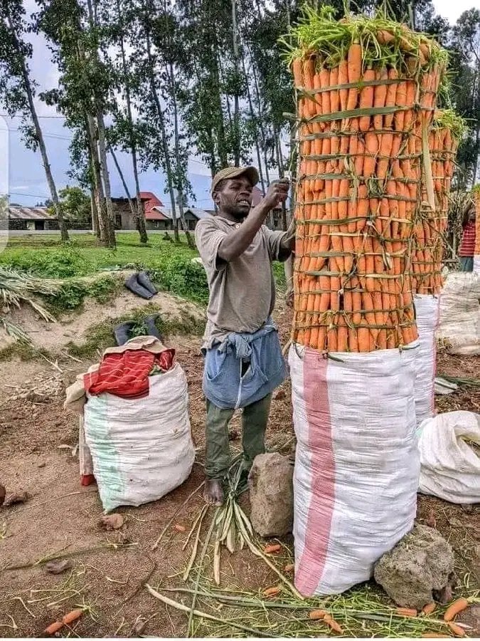 Lifevcore's tweet image. 