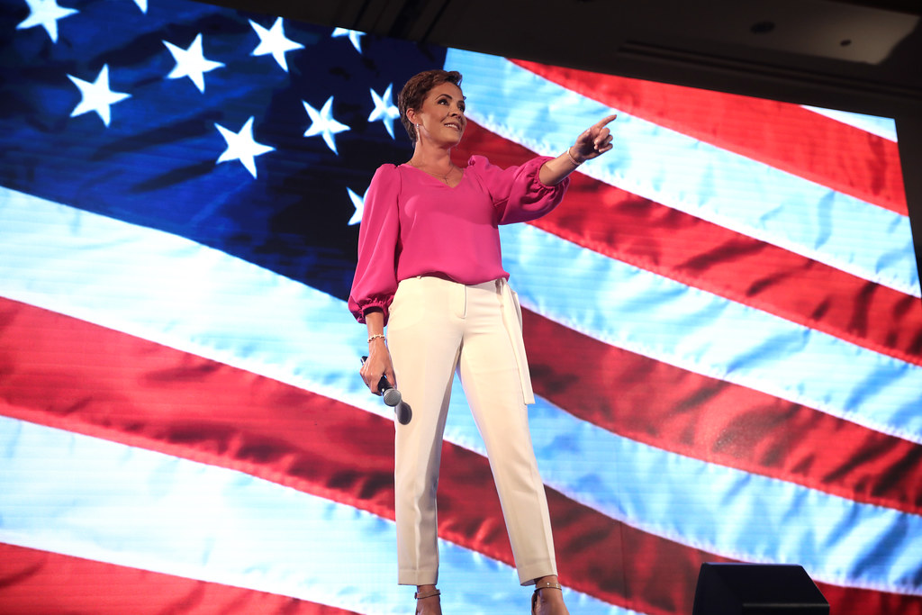 Kari Lake tweet media