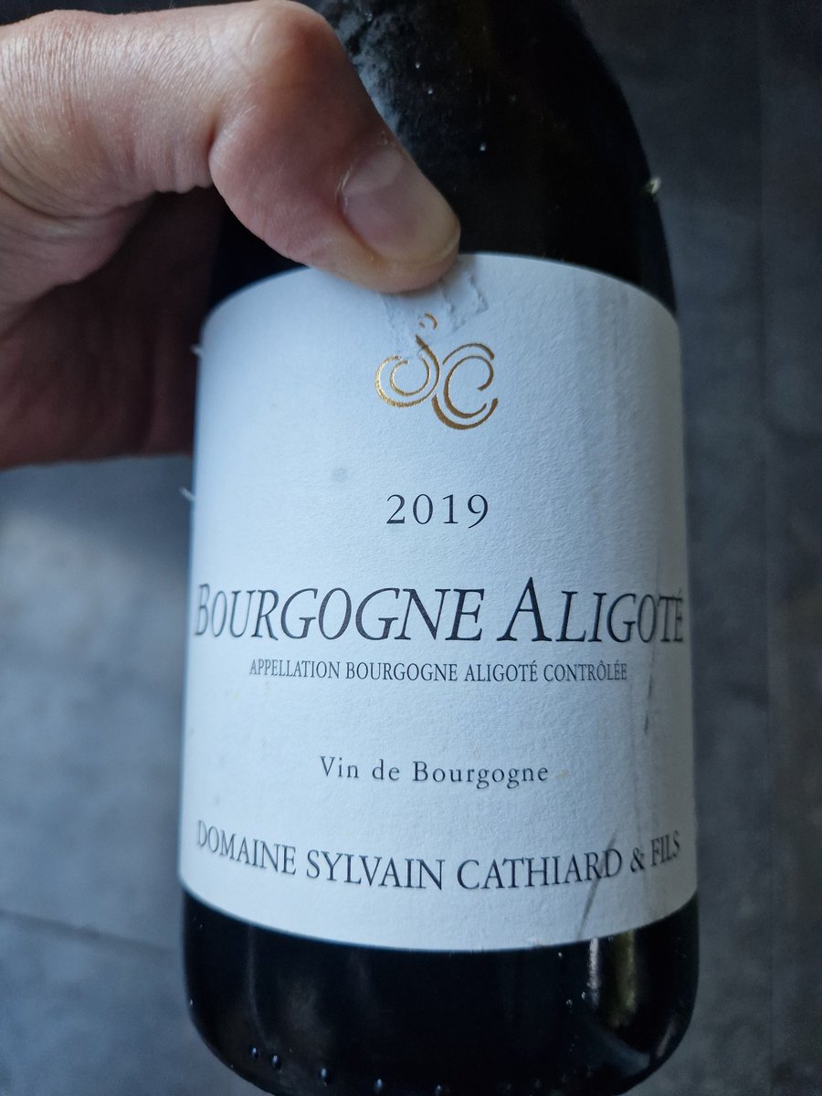danlane9's tweet photo. Happy Friday one and all! #cathiard #burgundy https://t.co/O4UInkwZyE