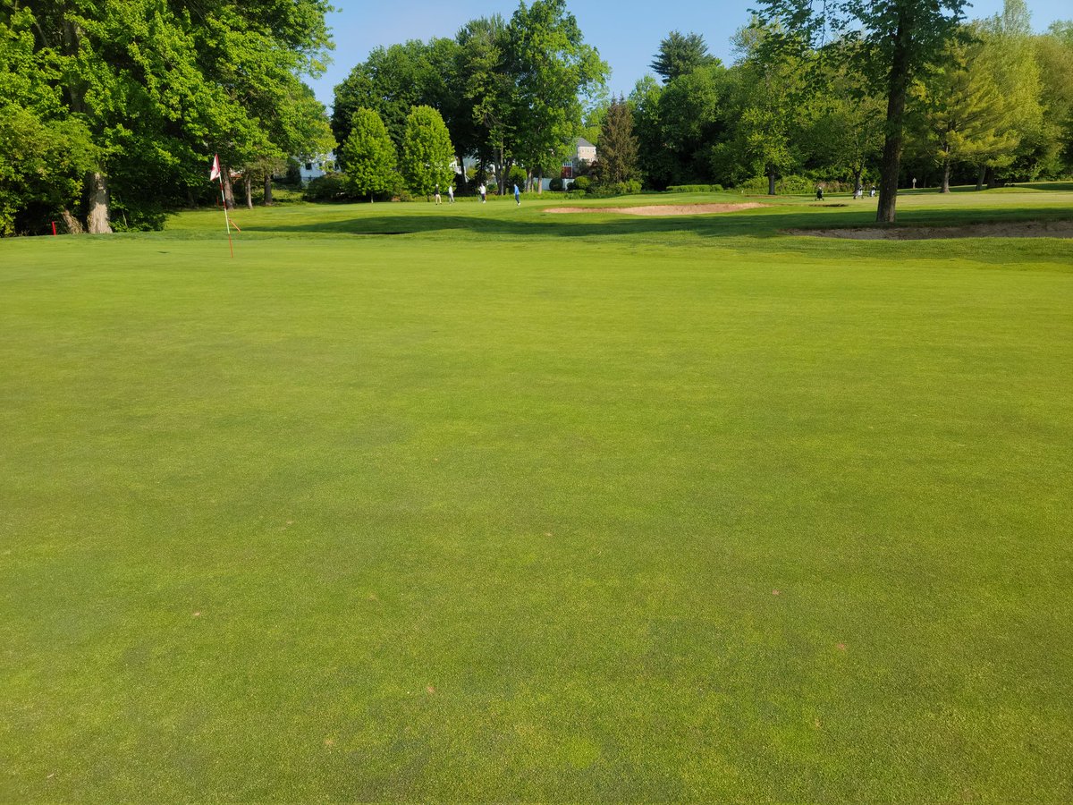 Chad Hall tweet media