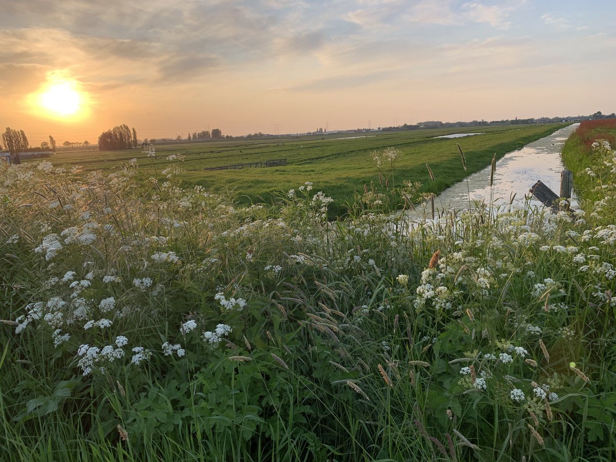 Mooi hè, die Hazerswoudse polder  #polder #hazerswoude #natuur