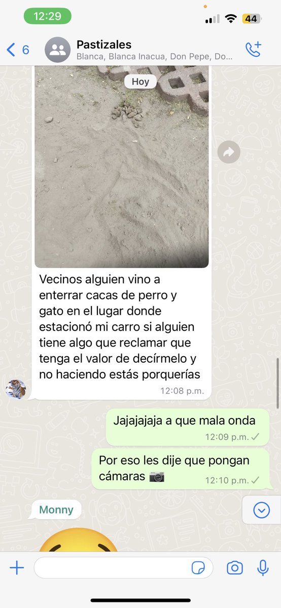 Fiorella_Panini's tweet photo. Jajajaja el panzón de mi vecino no soporto jajajajajajajajjaja, la verdad si se pasaron, pero a ver si así deja de joder😂 https://t.co/Sk8uAHUyWq