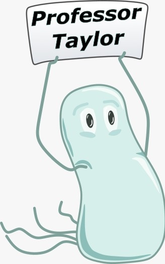 Tiffany Taylor tweet media