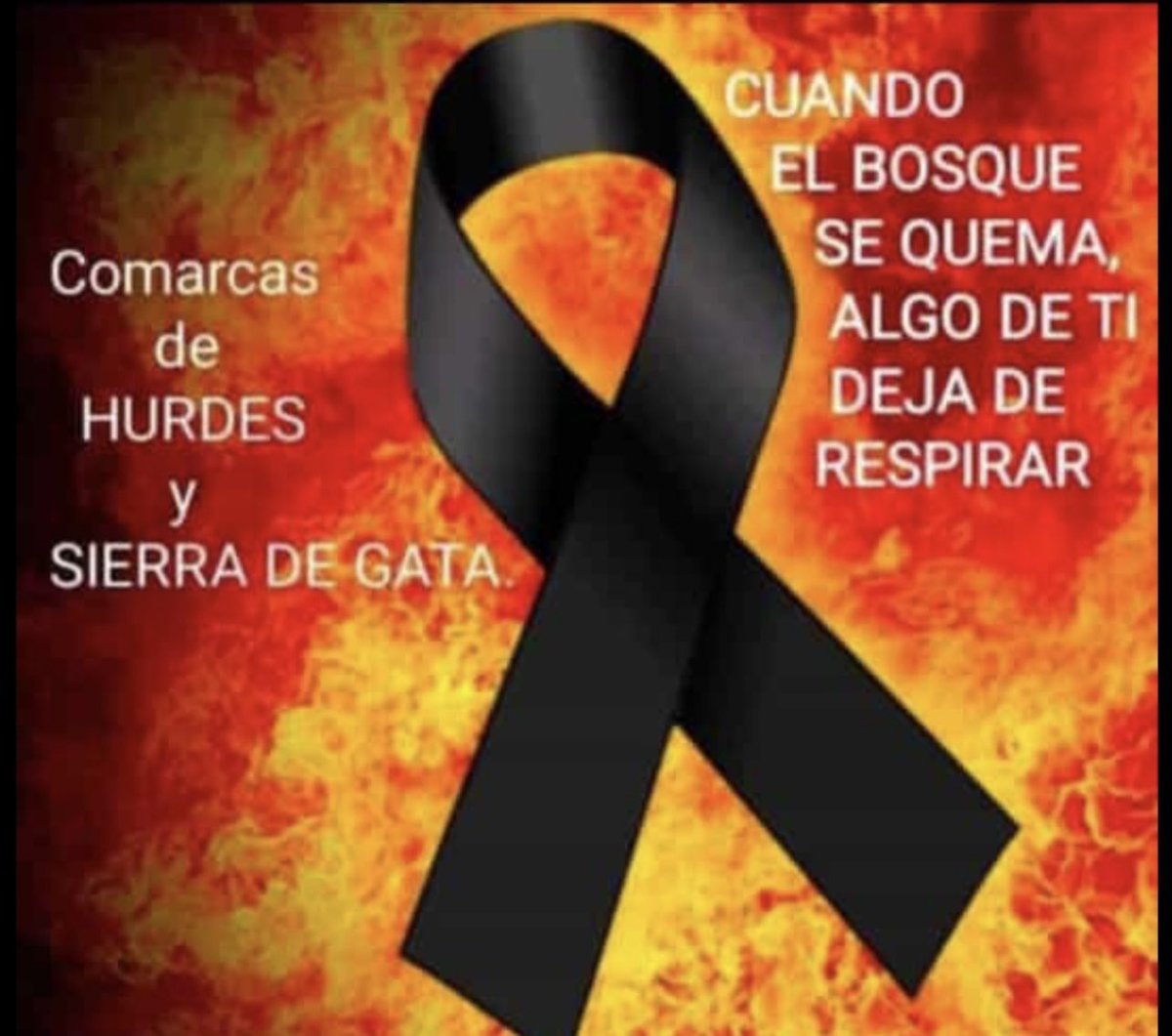 Los bosques son los pulmones de la tierra, si los  quedamos, morimos. #noalosincendios #LasHurdes #SierradeGata