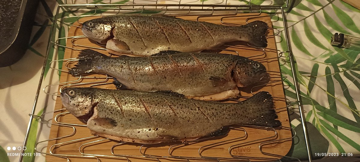 Ce soir, c'est la truite arc-en-ciel d'Ariège qui part dans la cheminée 😋
🥂