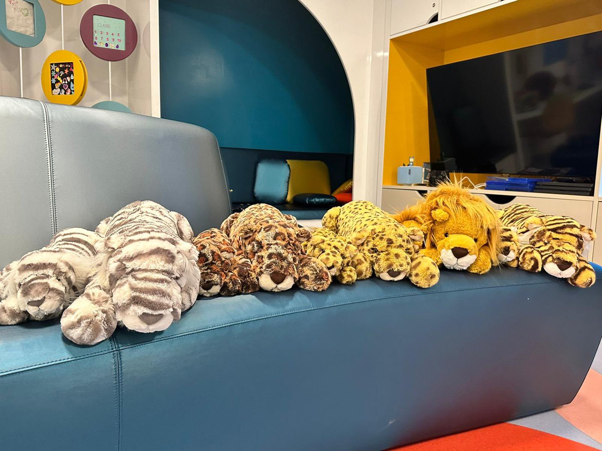 Look at these gorgeous babies! Coming this September to @nottmchildrens @NCHPlayService @SotonChildHosp @Leeds_Childrens @noahsarkcharity and @uclh 

Bringing courage and comfort to children on diagnosis of a #braintumour ❤️🦁