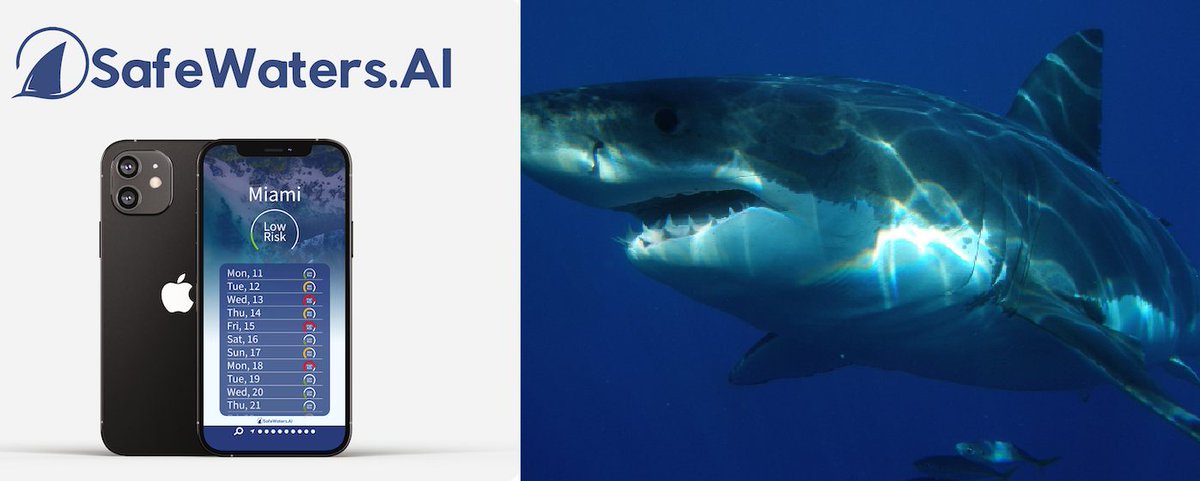 AI-Powered Shark Attack App: Accurately Forecasting and Detecting Risks for Swimmers at 89% Precision

#AI #artificialintelligence #dataanalysis #Florida #location #persecutionofsharks #riskassessment #SafeWatersAI #sharkattacks #shinyjewelry #timeofda

multiplatform.ai/ai-powered-sha…