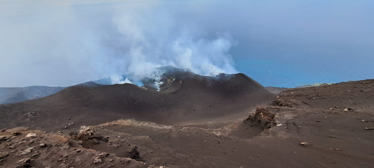 Piergiorgio tweet media