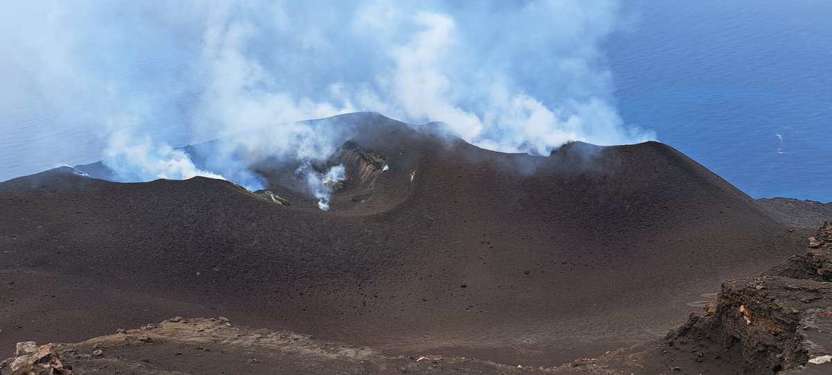 Piergiorgio tweet media