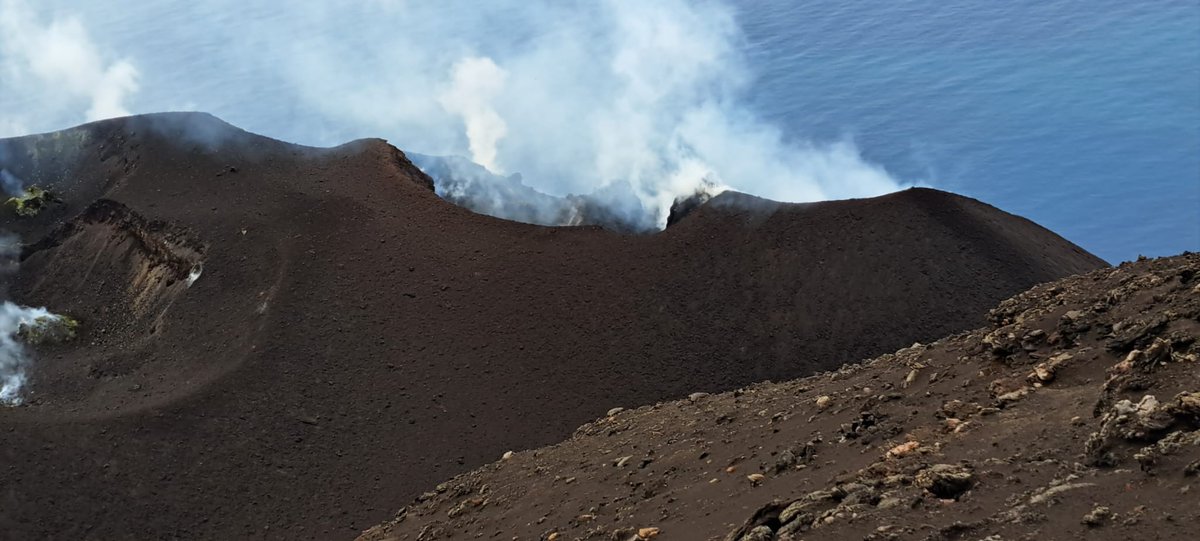 Piergiorgio tweet media