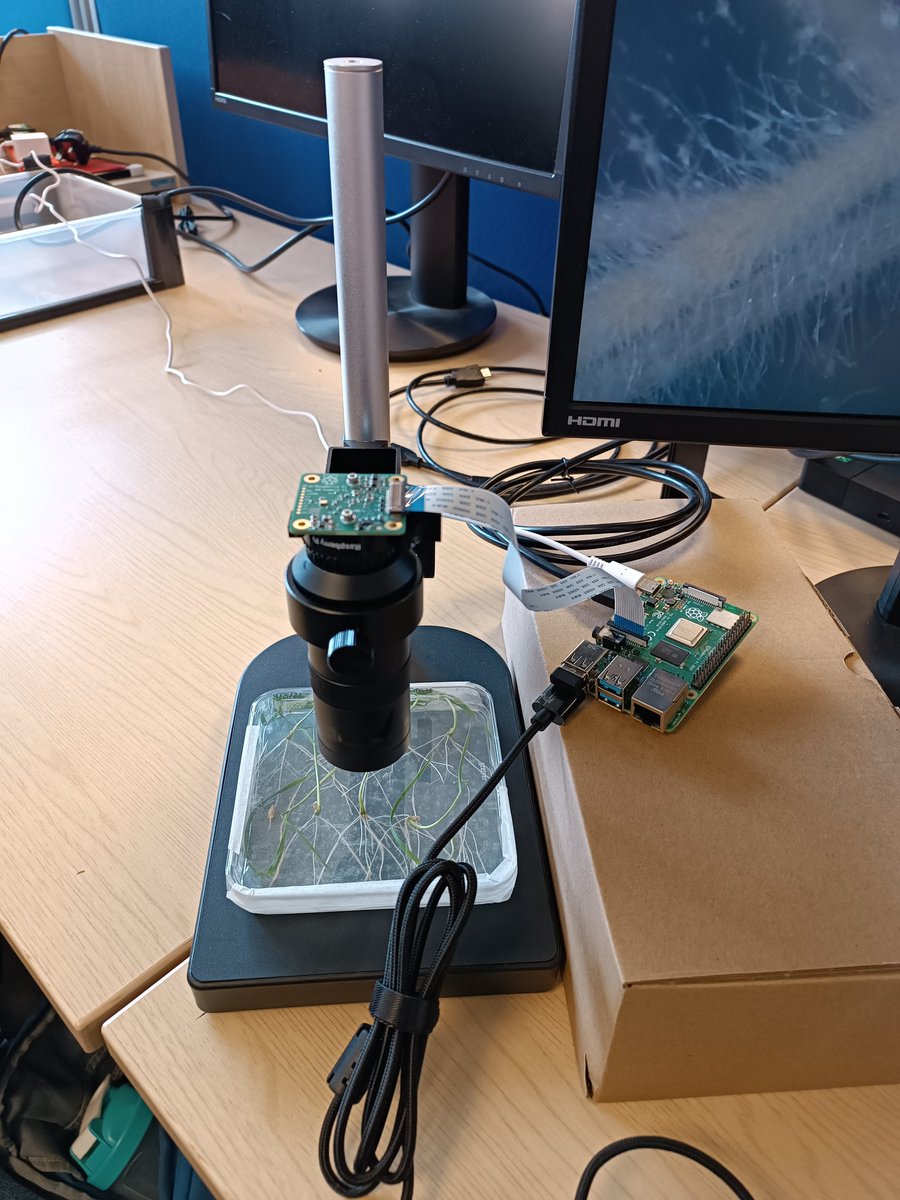 A DIY raspberry pi powered microscope! Planning on using it for some cool timelapse footage 😎
#raspberrypi #diy