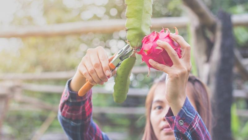 IR4_Project's tweet image. Join our friends at the #MinorUseFoundation in Madrid, Spain for their 4th Annual Global Minor Use Summit, happening Feb. 5-9, 2024. Early bird registration is open! Learn more and register on their website:

minorusefoundation.org/gmus-4-registr…