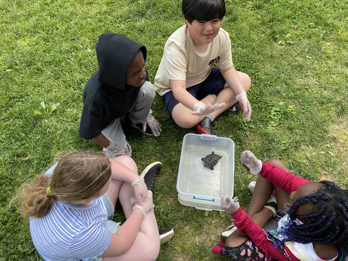 Learning about terrapins during PSE’s Earth Day.