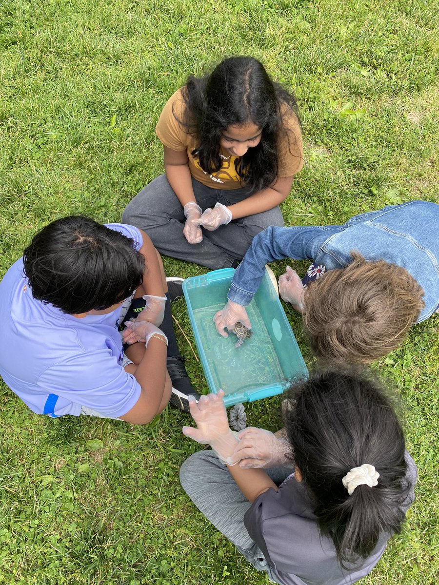 Carey Domena tweet media