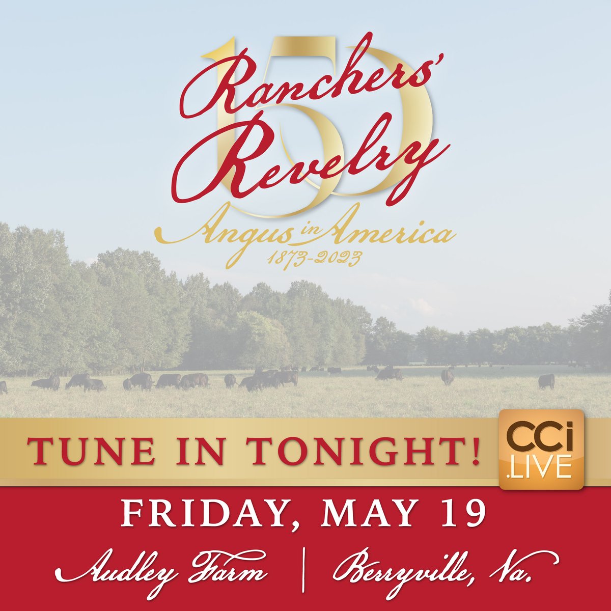 Tonight, Audley Farm will host Rancher's Revelry!

The event will offer a live auction filled with incredible experiences and unique items to support the Angus Foundation.

The auction will be broadcast via CCI.live.
View the catalog: bit.ly/3MlIDYN