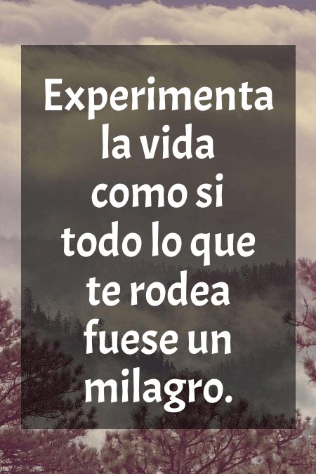Escuela de Vida (@escueladevida21) on Twitter photo 